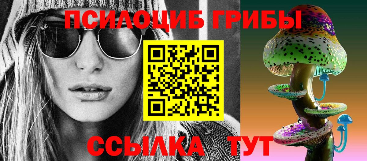 Псилоцибиновые грибы мицелий  Вход с VPN  Тавда 