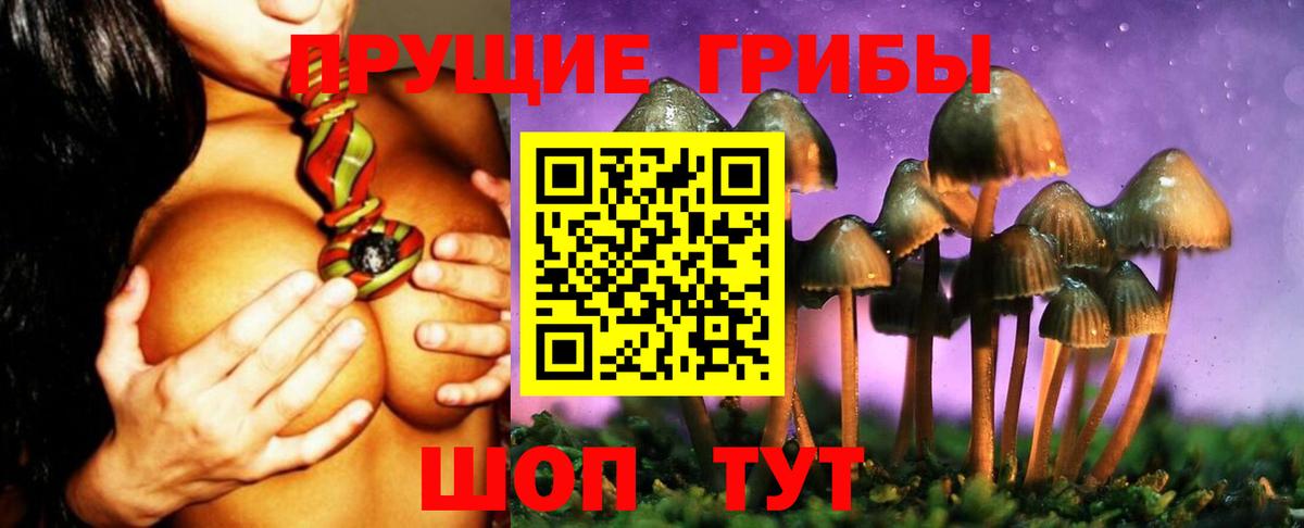 Псилоцибиновые грибы GOLDEN TEACHER Тавда