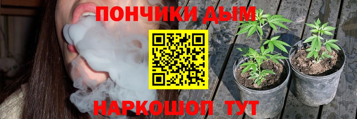 Бошки Шишки тримм  Вход с VPN  Тавда  Бошки марихуана MAZAR  Бошки Шишки MAZAR 
